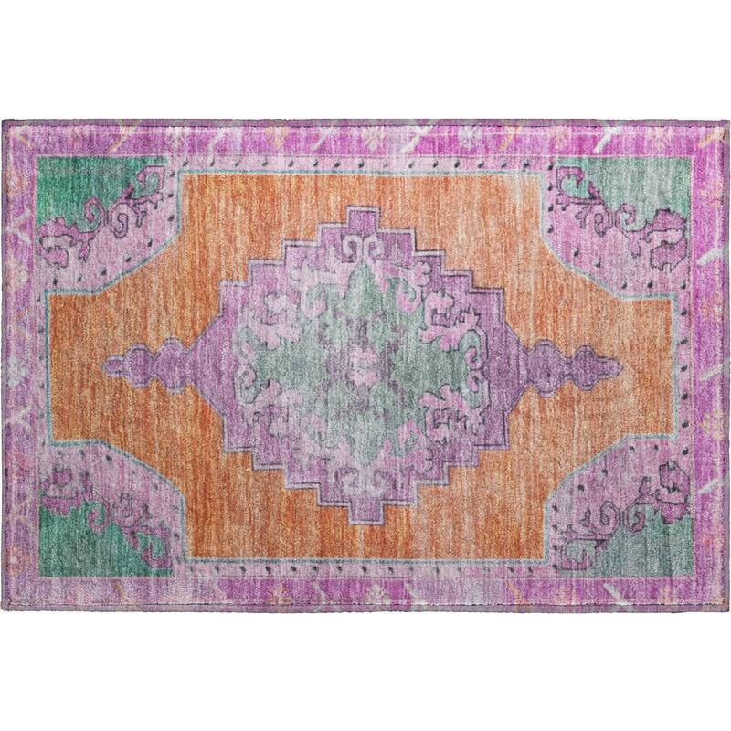 Premium Washable Super Soft Vintage Traditional Mayfield Rug