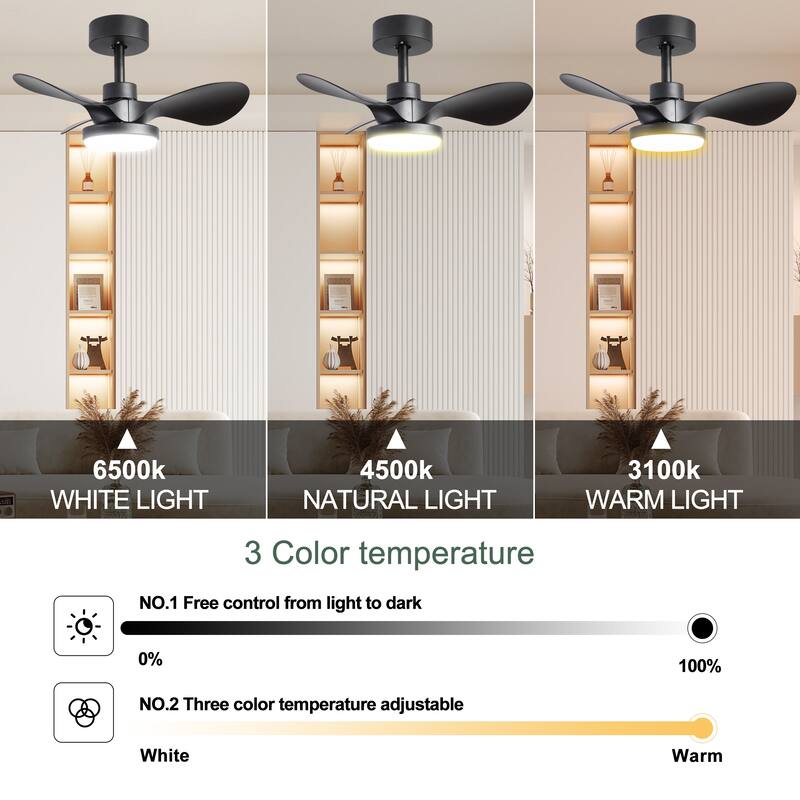 24 inch Small Ceiling Fan with Light Remote 6 Speed Quiet Reversible DC Motor Low Profile Black