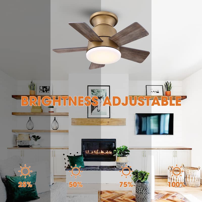 24" Aged Brass Wooden Small Dimmable Hugger Ceiling Fan with Light