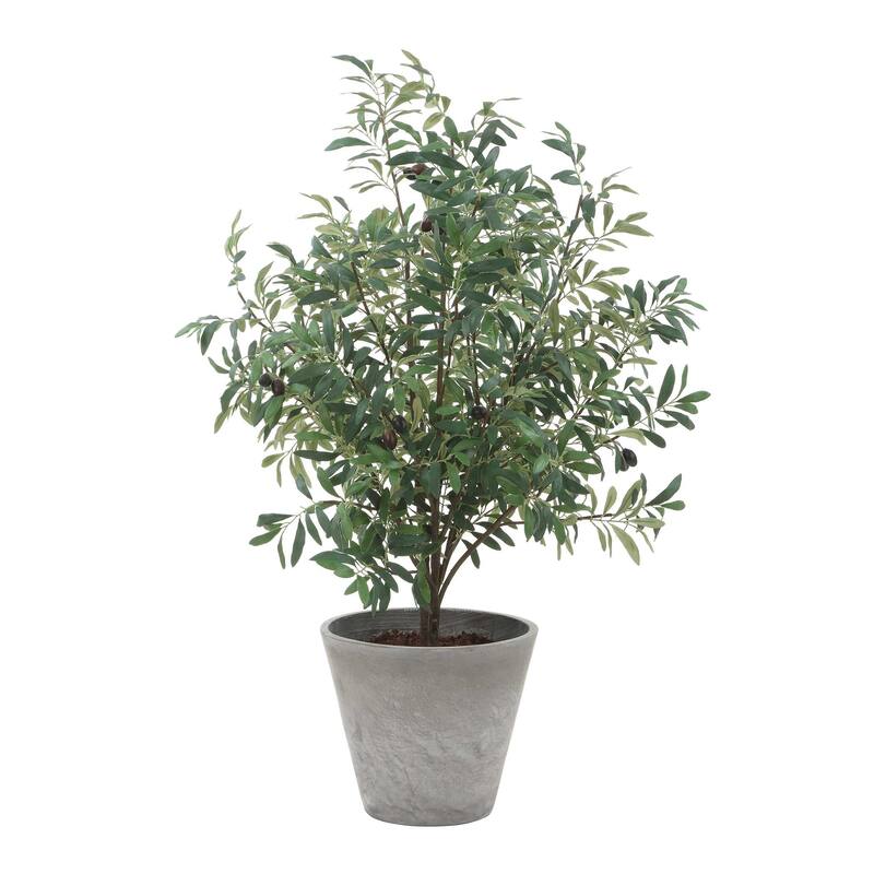 Uttermost Marisol Potted Olive Plant - 28.50" W x 45.25" H x 26.50" D