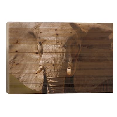 African Elephant Close Up, Amboseli National Park, Kenya Print On Wood by Gerry Ellis - Multi-Color