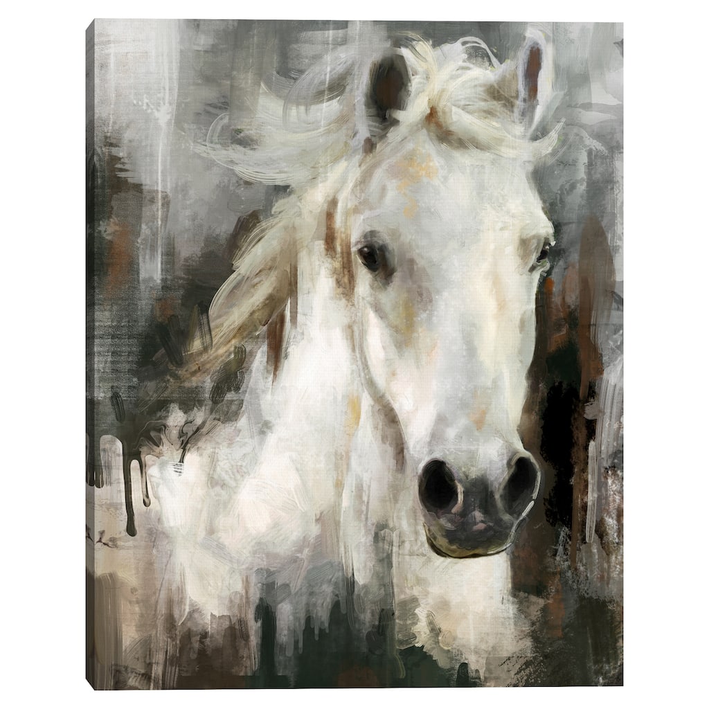 Casper by Studio Arts Canvas Art Print