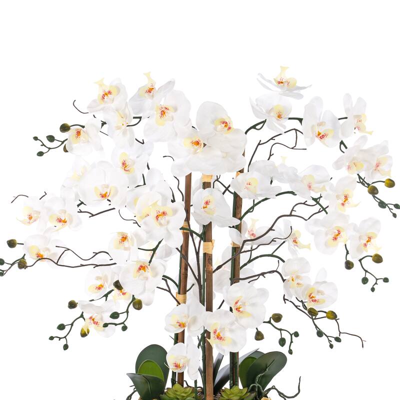 8 Stems Real Touch Phalaenopsis Plastic Orchids with Succulents in White Ceramic Pot - 35.43" H x 31.5" W x 31.5 " D