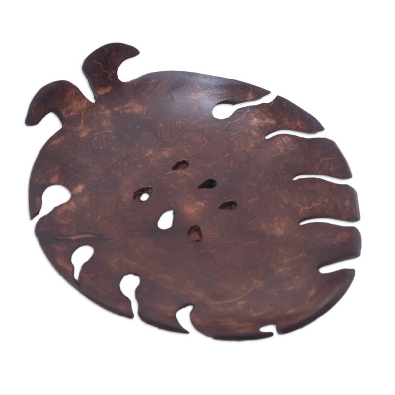 Novica Handmade Little Monstera Coconut Shell Soap Dish - Brown