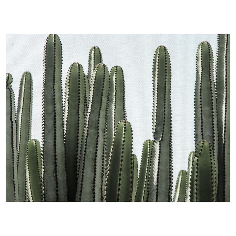 Desert Detail by Belle Maison Canvas Art Print