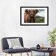 preview thumbnail 10 of 18, iCanvas "Portrait Of A Young Scottish Wooly Highland Cattle" by Michael Schauer PFA