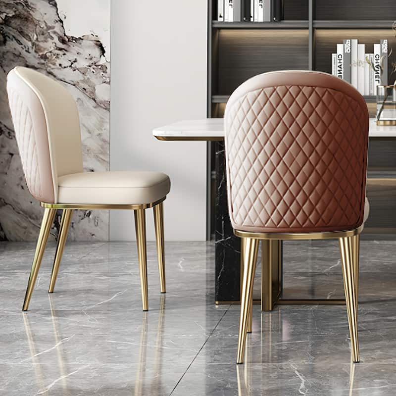 Modern Stainless Steel Leg Back Dining Chairs (Set of 2)