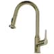 Option Spot-free Champagne Bronze