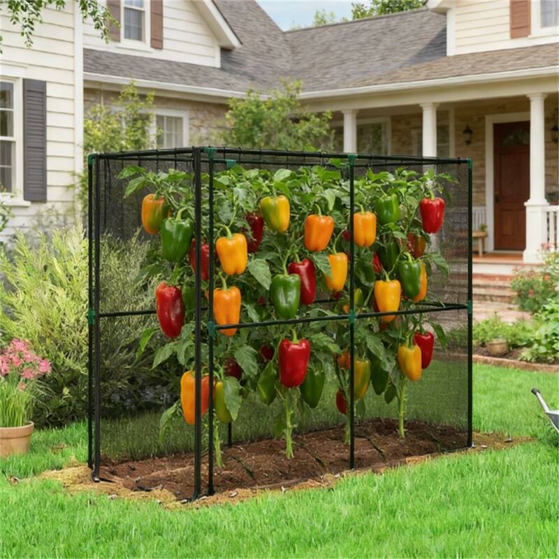 Crop Cage, Plant Protection tent, suitable For Planting Fruits, Vegetables and Flowers, Black - Metal