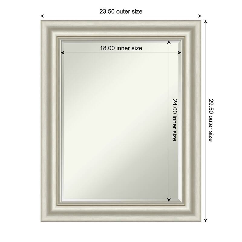 Sophia Half-Inch-Bevel Framed Wall Mirror - 24 x 30 in - Sophia Silver