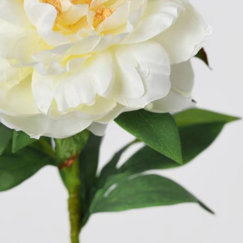 Silk Decorative Artificial Phoenix Peony(Pack of 1 Branch)