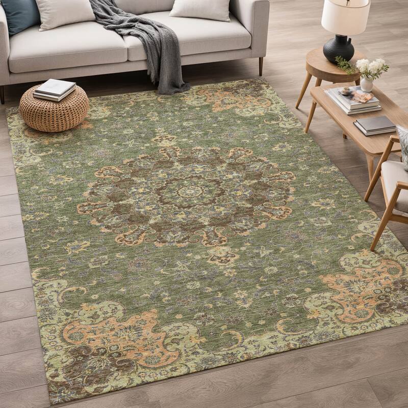 Machine Washable Indoor/ Outdoor Traditional Awaka Chantille Rug
