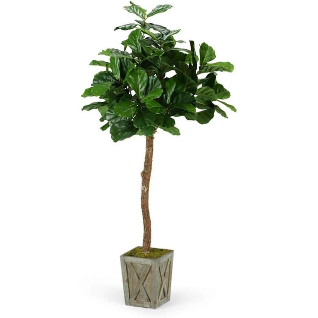 HomeStock 6' Fiddle Leaf Fig Tree in Weathered Wood Box Planter - Stylish Faux Plant for Home or Office - 72
