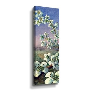 Fresh Tone II Gallery Wrapped Canvas - Bed Bath & Beyond - 35802236