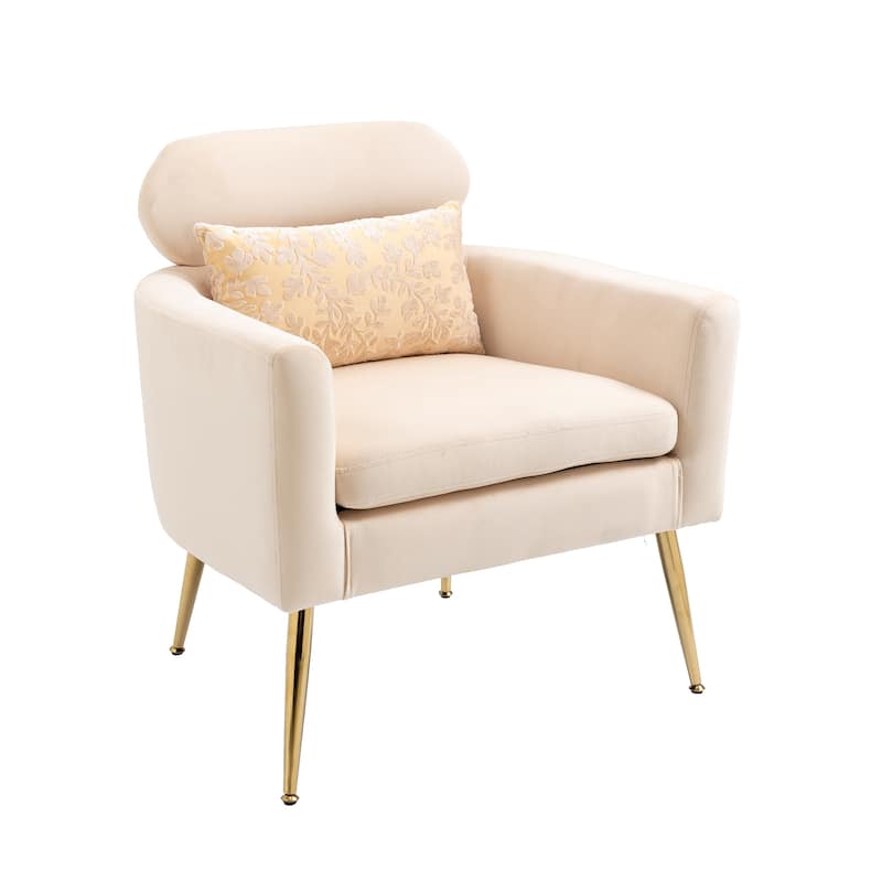 Velvet Upholstered Accent Chair With A Pillow