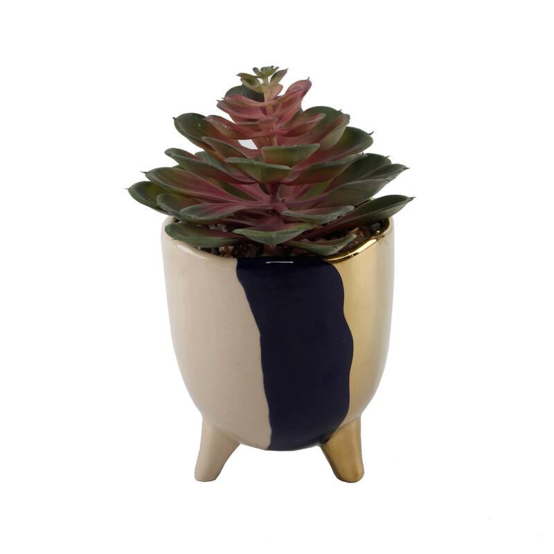 Succulent in 5" 3-TONE FOOTED CERAMIC,GREY - ONE-SIZE