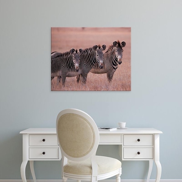 Easy Art Prints Dee Ann Pederson's 'African Zebra' Premium Canvas Art