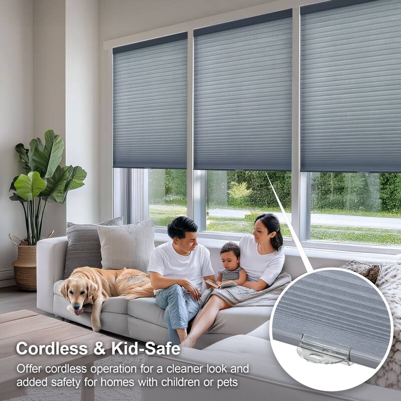 Chicology Cordless Light Filtering Cellular Shade