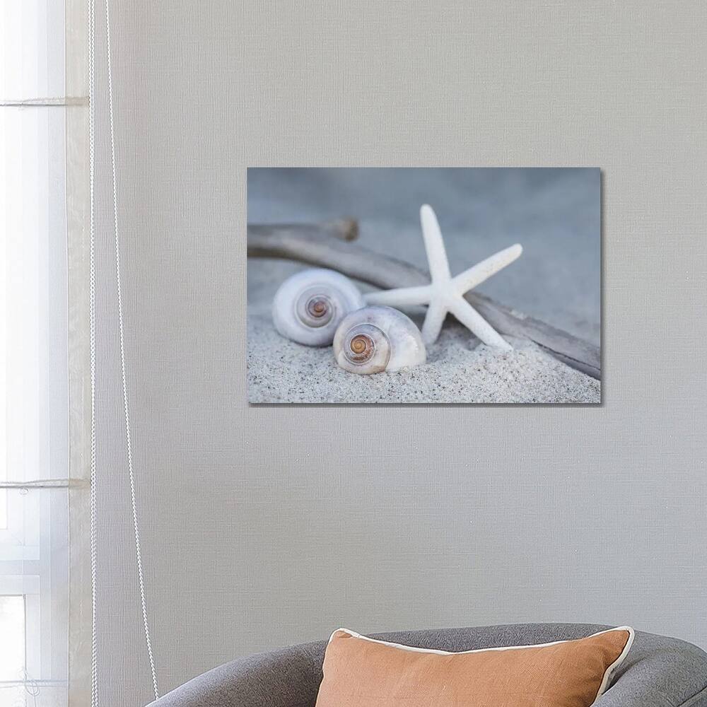 iCanvas "Starfish Beach Still" by Andrea Haase Canvas Print