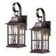 preview thumbnail 17 of 15, Classic Outdoor Wall Lantern with Water Rippled Glass Medium/2-Pack - Oil Brushed Bronze