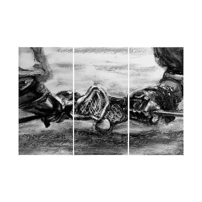 Sports Collection Lacrosse (Set of 3) (30 x 60) Canvas Art Print