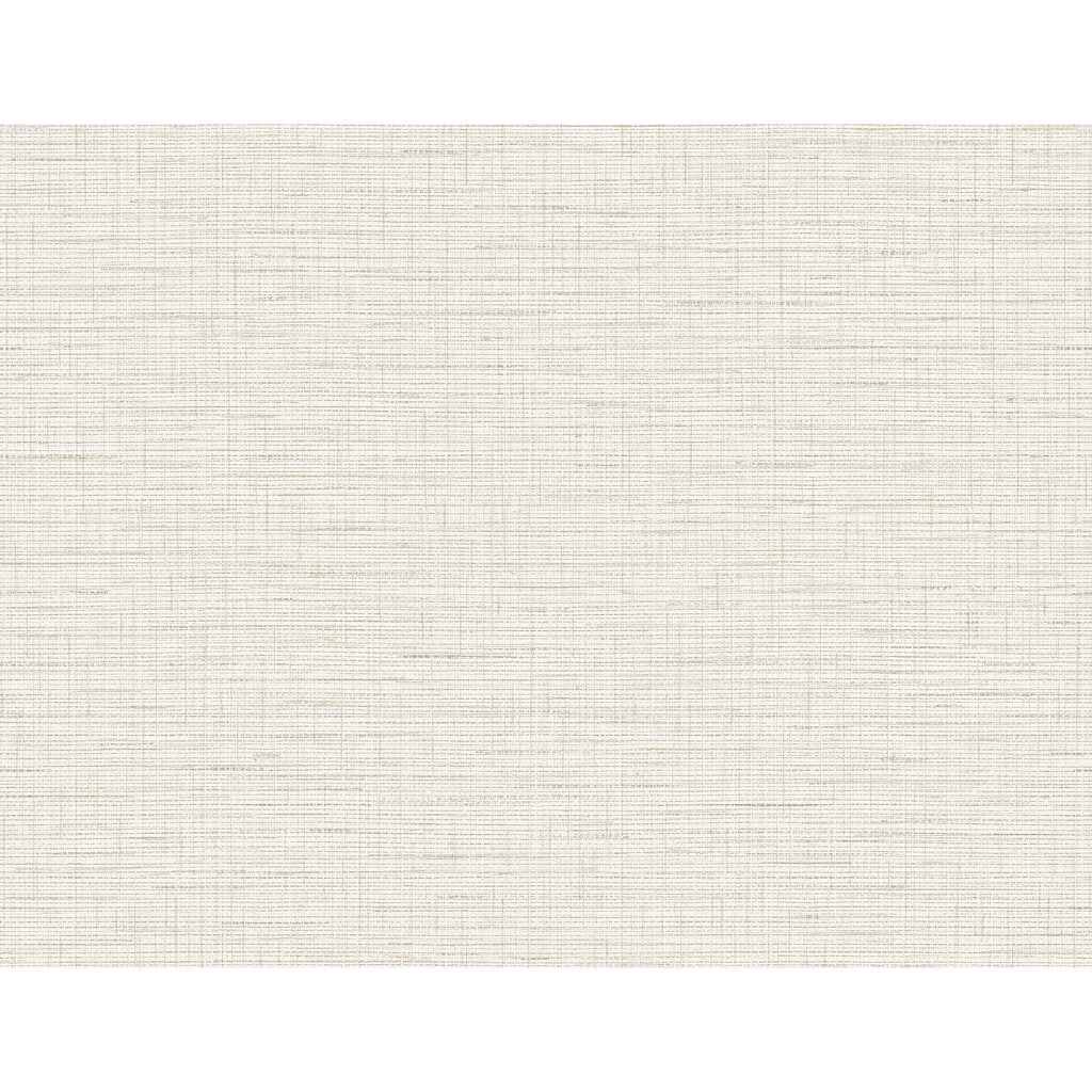 A-Street Prints Salamander Eggshell Woven Wallpaper