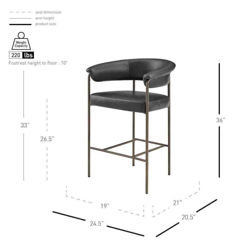 NPD Furniture Kaiden Faux Leather Counter Stool (Set of 2)