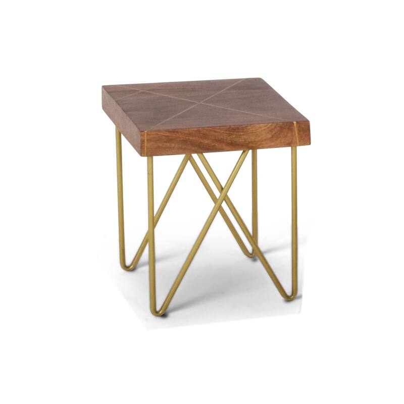 Steve Silver Brown Mango Wood Side Table with Brass Inlay