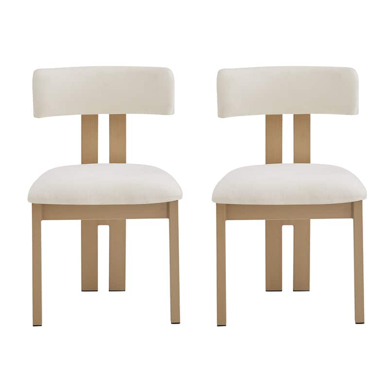 Dining Chairs Set of 2, Armless Dining Chairs with U-shaped Backrests & Metal Legs, Upholstered Lounge Chair for Kitchens