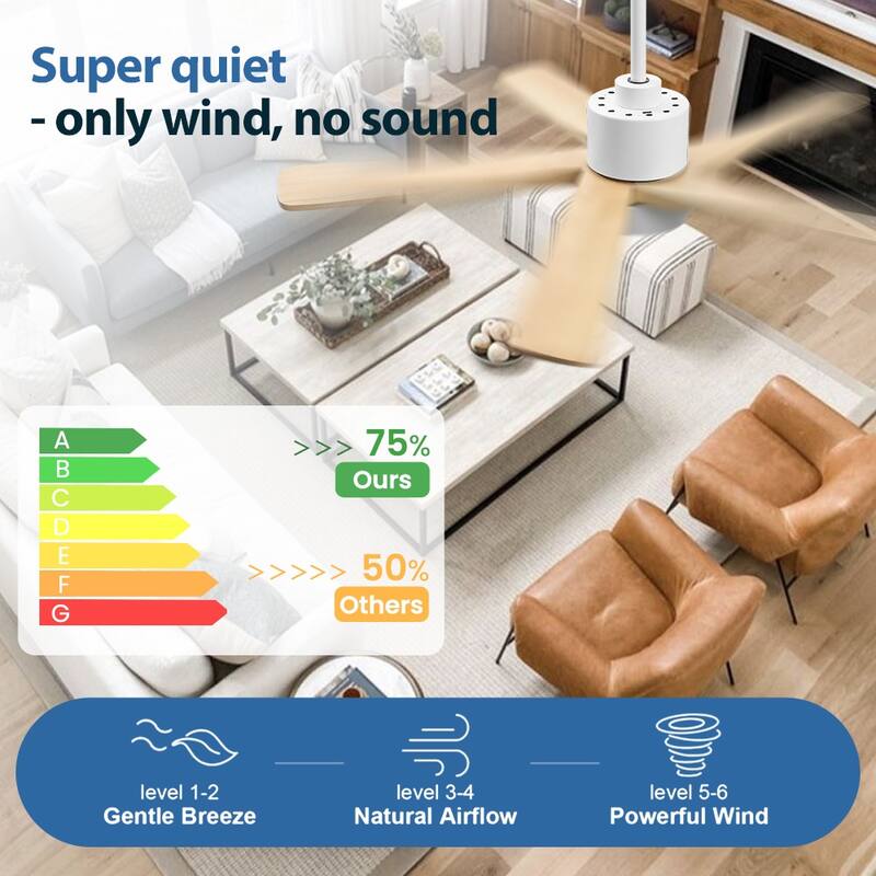 WINGBO 54" and 64" 5 ABS Blades DC Motor Indoor Ceiling Fan with Light & Remote