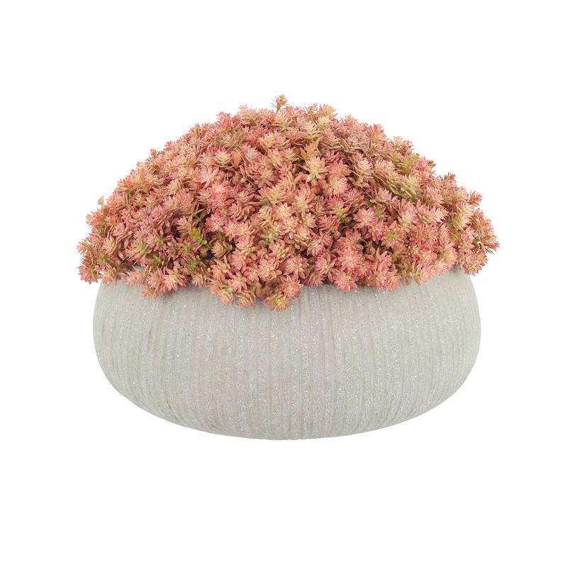 Sedum Arrangement in a Round Planter - Green