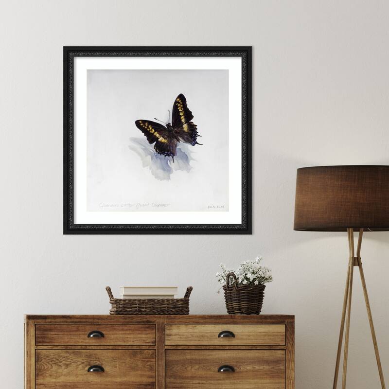 Giant Emperor Butterfly by Odile Kidd Wood Framed Wall Art Print - Downton Black
