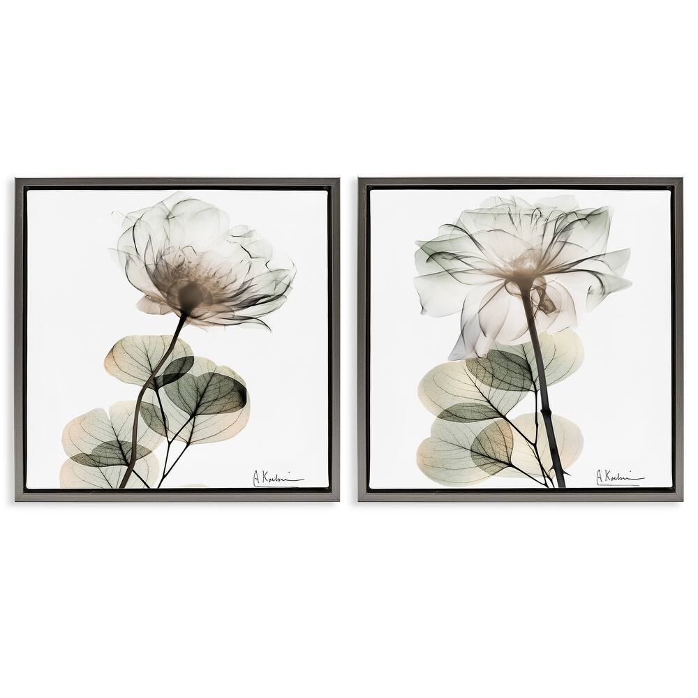 Stupell Cream Transparent Floral Framed Floater Canvas Wall Art Design By Albert Koetsier (Set of 2)