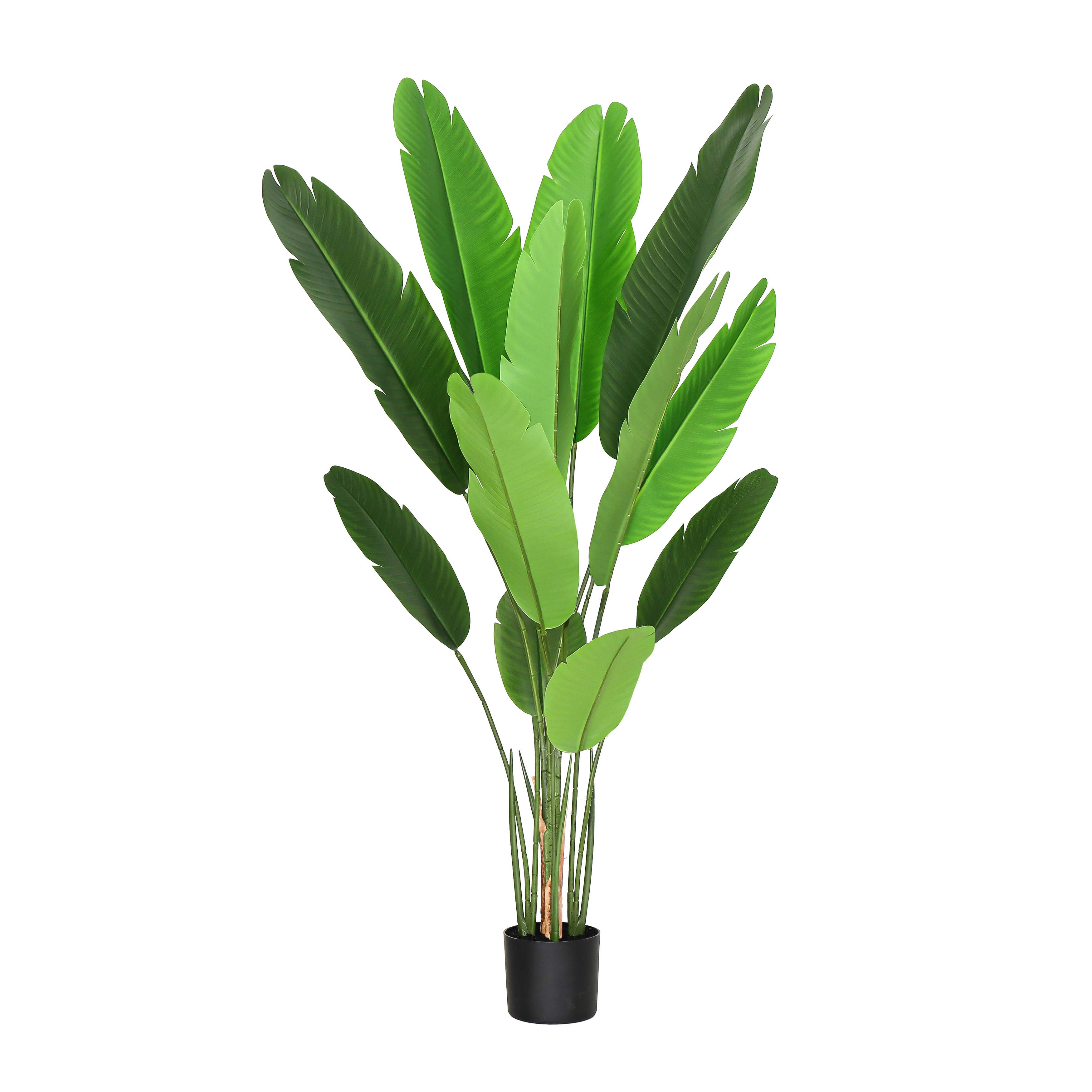 5ft Real Touch Artificial Bird of Paradise Strelitzia Leaf Plant in Black Pot - 58" H x 24" W x 24" DP