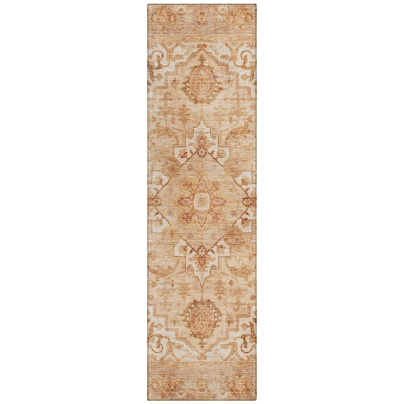 Machine Washable Indoor/Outdoor Traditional Vintage Chantille Rug