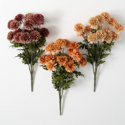 19.75" Sullivans Straw Flower Bush - Set of 3, Multicolored - 9"L x 4.5"W x 19.75"H