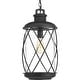 preview thumbnail 1 of 9, Progress Lighting Hollingsworth Single Light 10" Wide Outdoor Pendant Black
