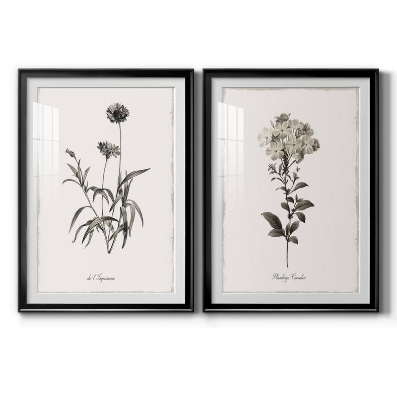 Sketchbook Imperial Premium Framed Print - Ready to Hang