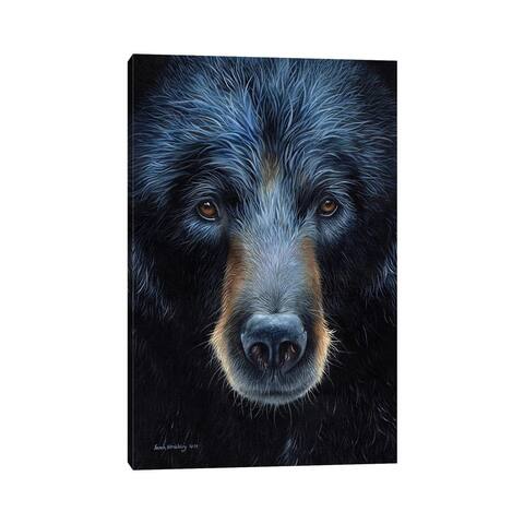 iCanvas "Black Bear I" by Sarah Stribbling Canvas Print
