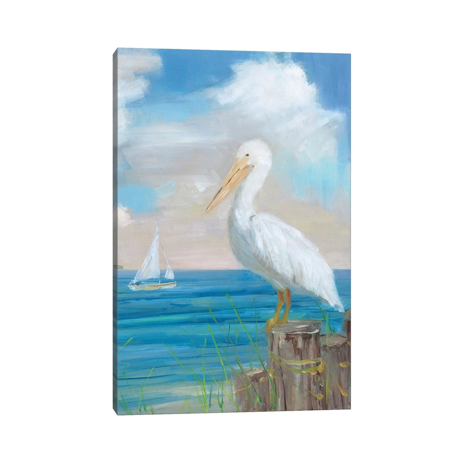 iCanvas "Pelican View II" by Sally Swatland Canvas Print