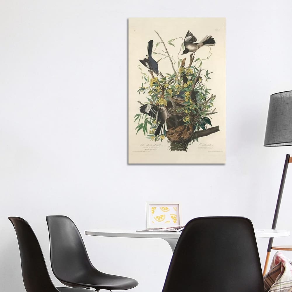 iCanvas "The Mocking Bird, 1827" by John James Audubon Canvas Print