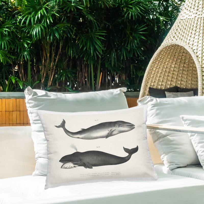 Stupell Vintage Whale Study Diagrams Printed Outdoor Throw Pillow Design by Phillipa Katz