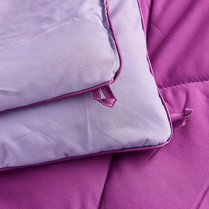 Reversible Down Alternative Quilted Comforter