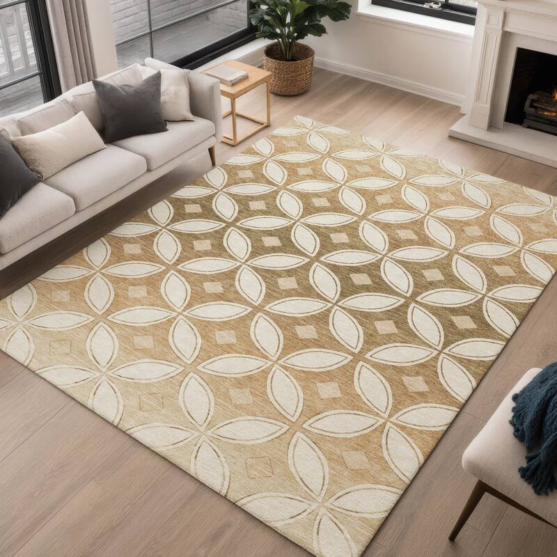 Machine Washable Indoor/ Outdoor Modern Gia Chantille Rug