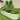 Aoodor 6-in-1 Modular Metal Raised Garden Bed 67" (L) x47" (W) x17" (H) Outdoor Garden Planter Box - 67X47X17
