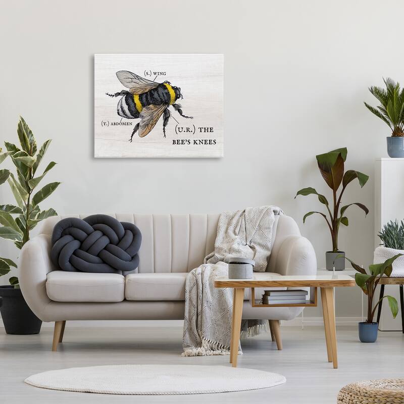 Stupell Anatomy of Honey Bee Pun Charming Bee's Knees Canvas Wall Art