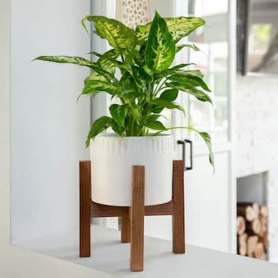 Mid-Century 8" CERAMIC DUMPLING POT ON WOOD STAND,Matte White