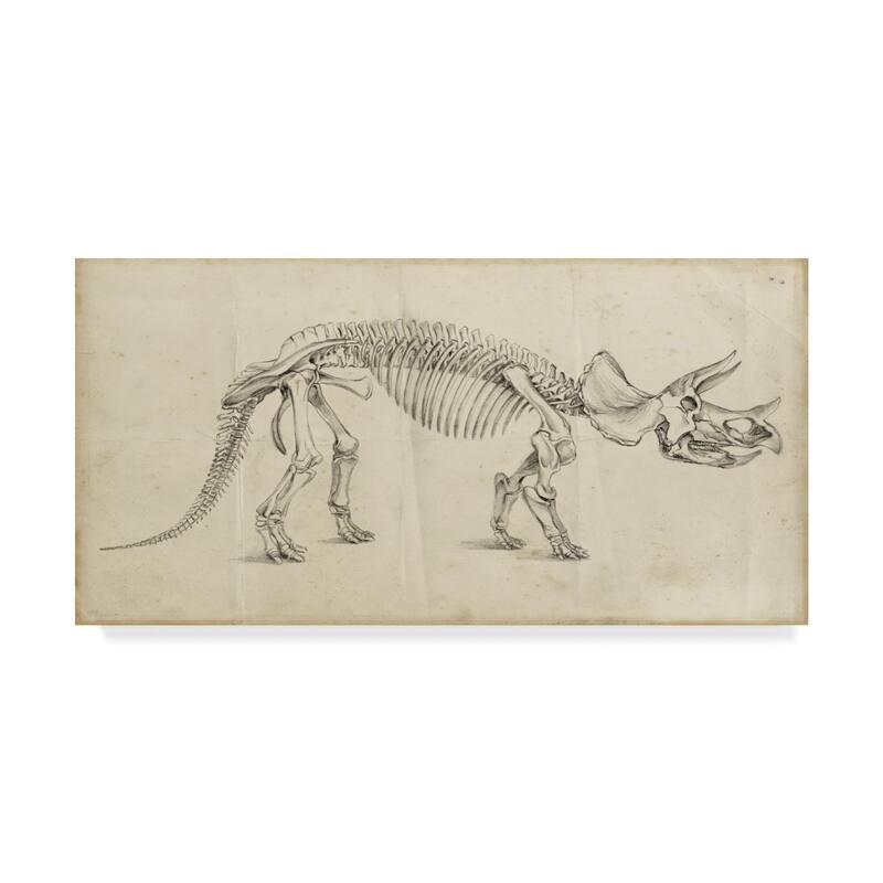 Ethan Harper 'Dinosaur Study Ii' Canvas Art