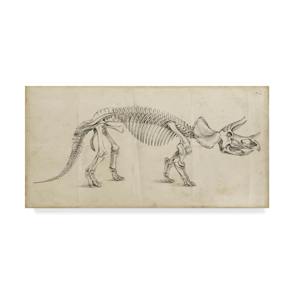 Ethan Harper 'Dinosaur Study Ii' Canvas Art