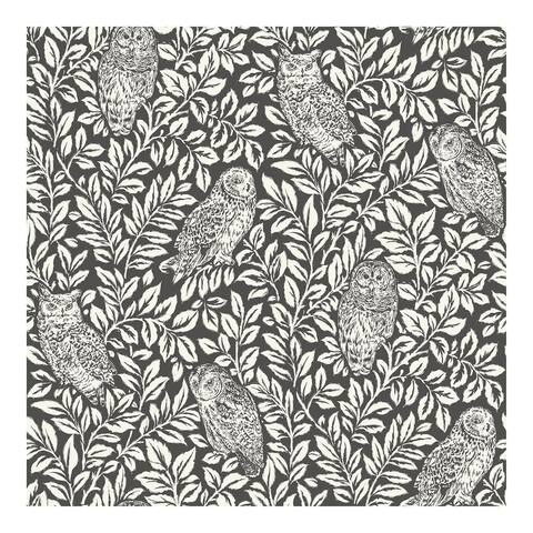 Charcoal Sleepy Owls Peel & Stick Wallpa - 216in x 20.5in x 0.025in